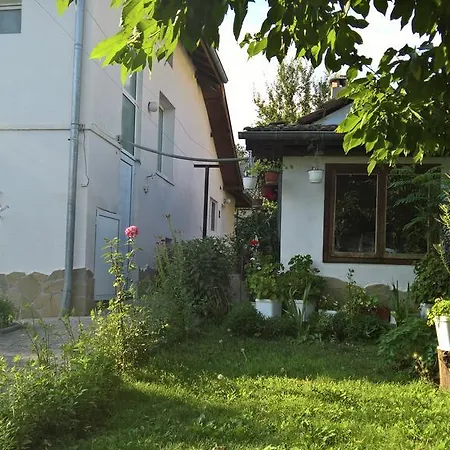 Nenkovi تريفنا