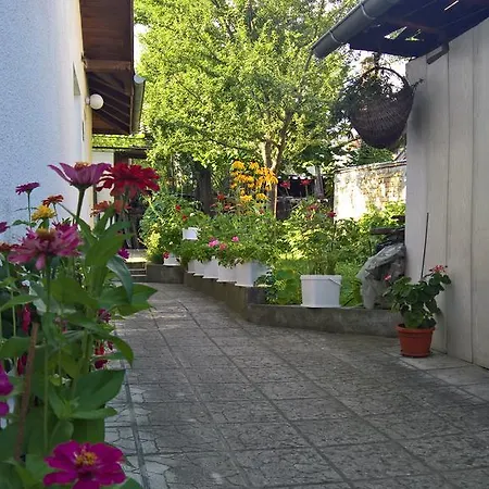 Nenkovi *